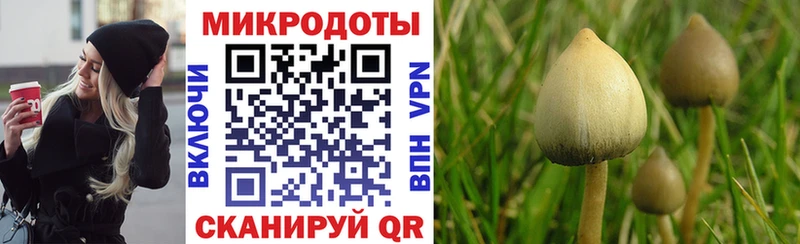 Галлюциногенные грибы прущие грибы  Купить закладки  Медногорск 